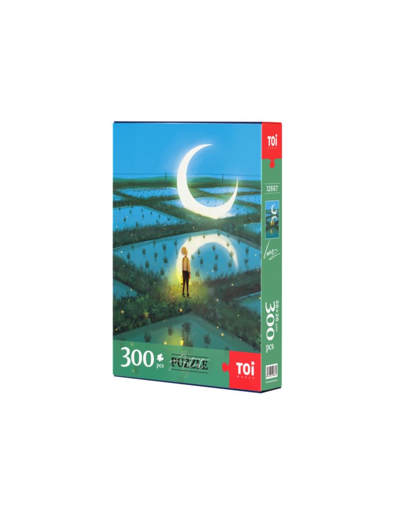 TOI childhood dream 300PC