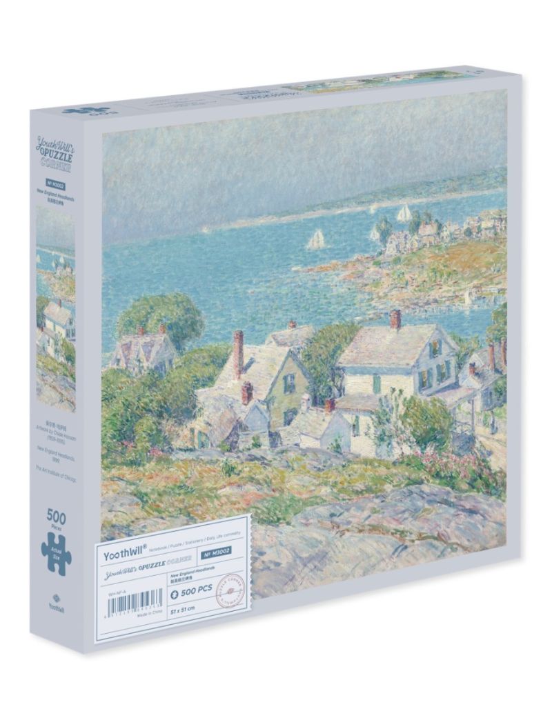 YouthWill New England Headlands 500pcs