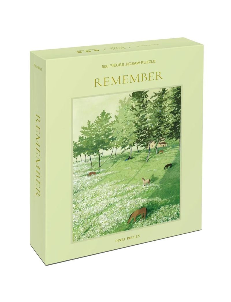 PIXEL PIECES Remember 500pcs