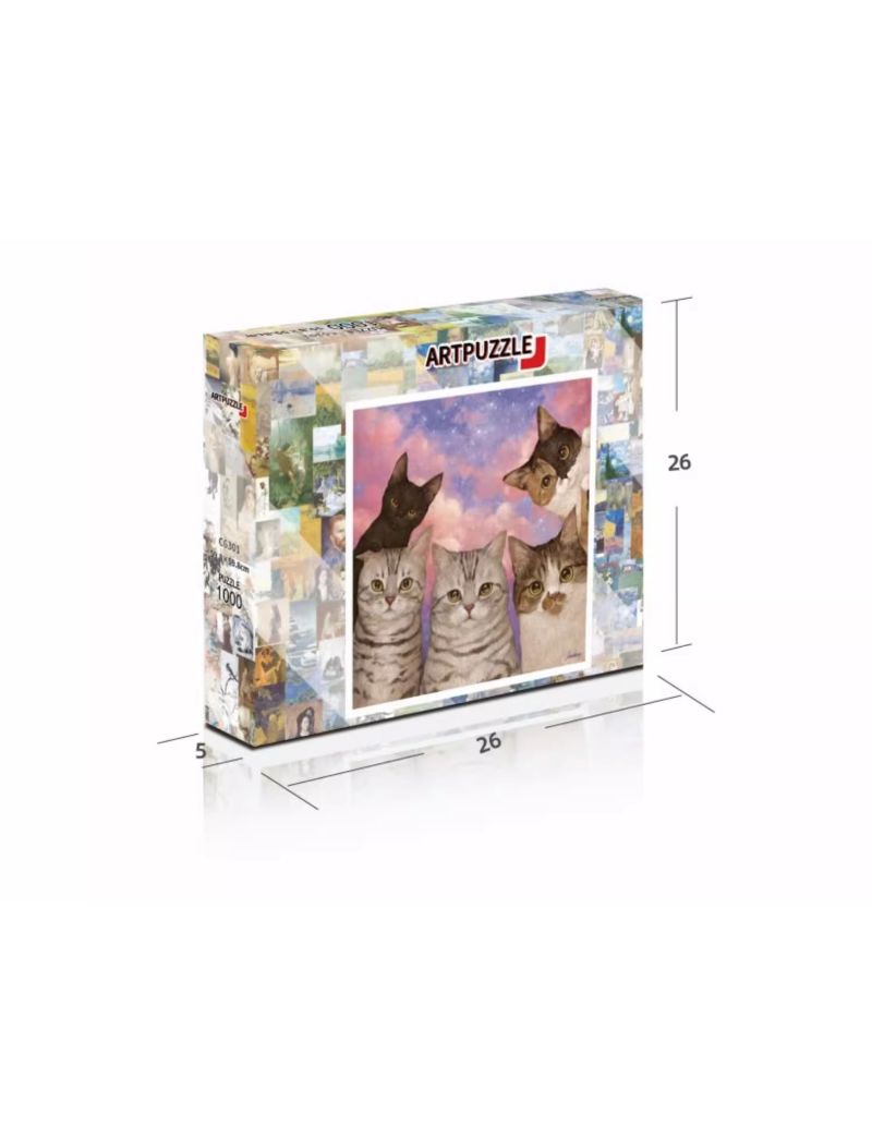 Art Puzzle Five Cats C6301 1000pcs