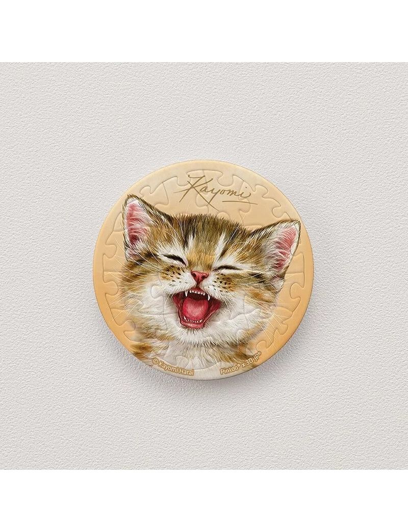PINTOO D1313 Puzzle Magnet - Kayomi - Bright Smile 16p