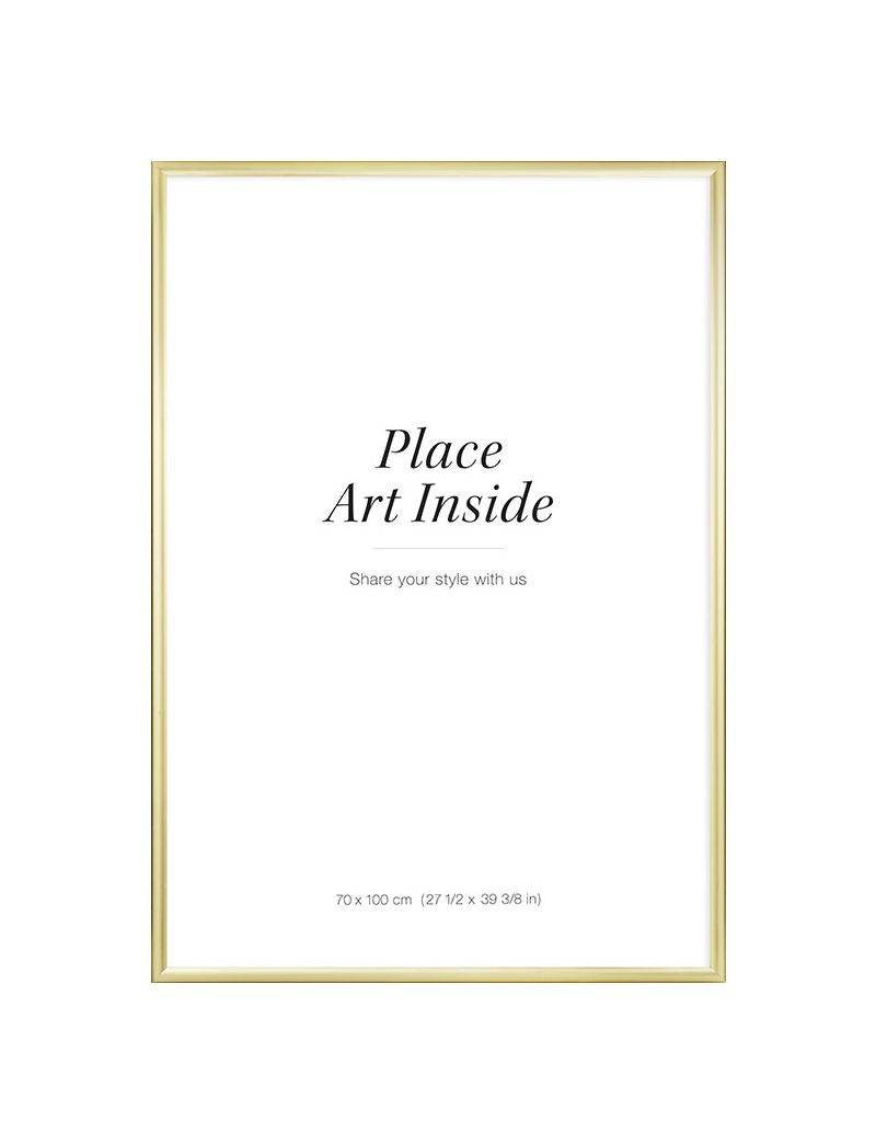 Frame 70*100cm (pick up only)