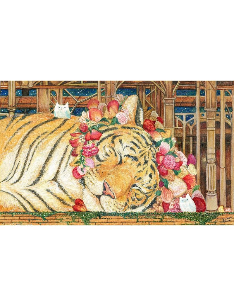 PINTOO H2146 Cotton Lion - Goodnight Tiger 1000p