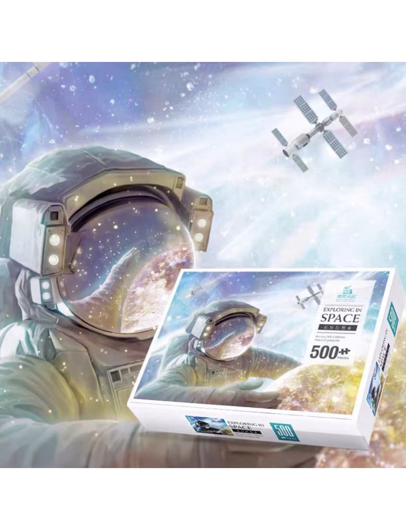 ZHIJU Rhapsody 500pc