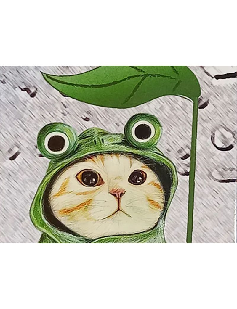 3CATS with frog hat