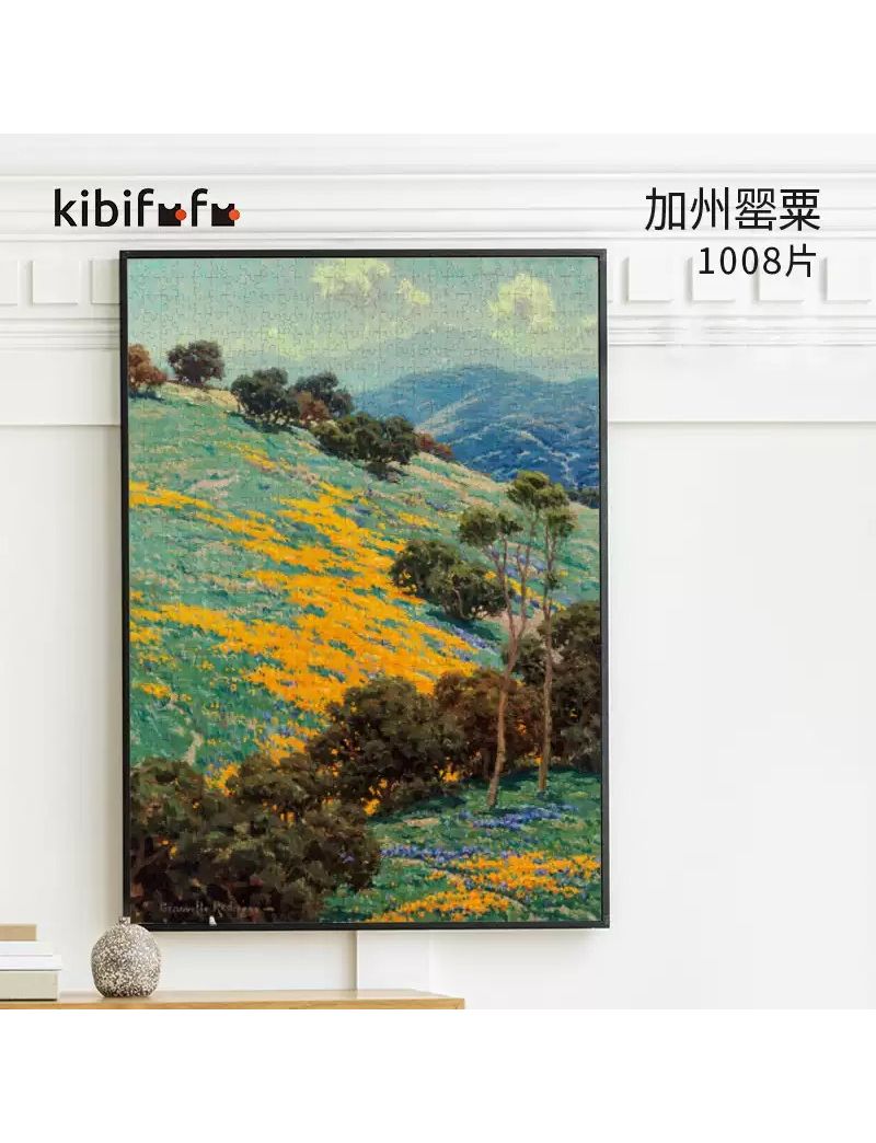 KIBIFUFU California Poppies 1008pcs