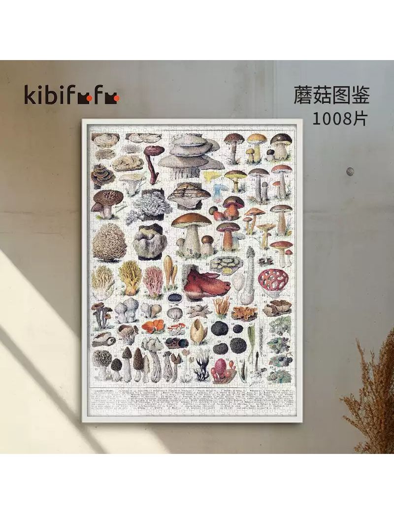 KIBIFUFU Champignons-Couleurs 1008pcs