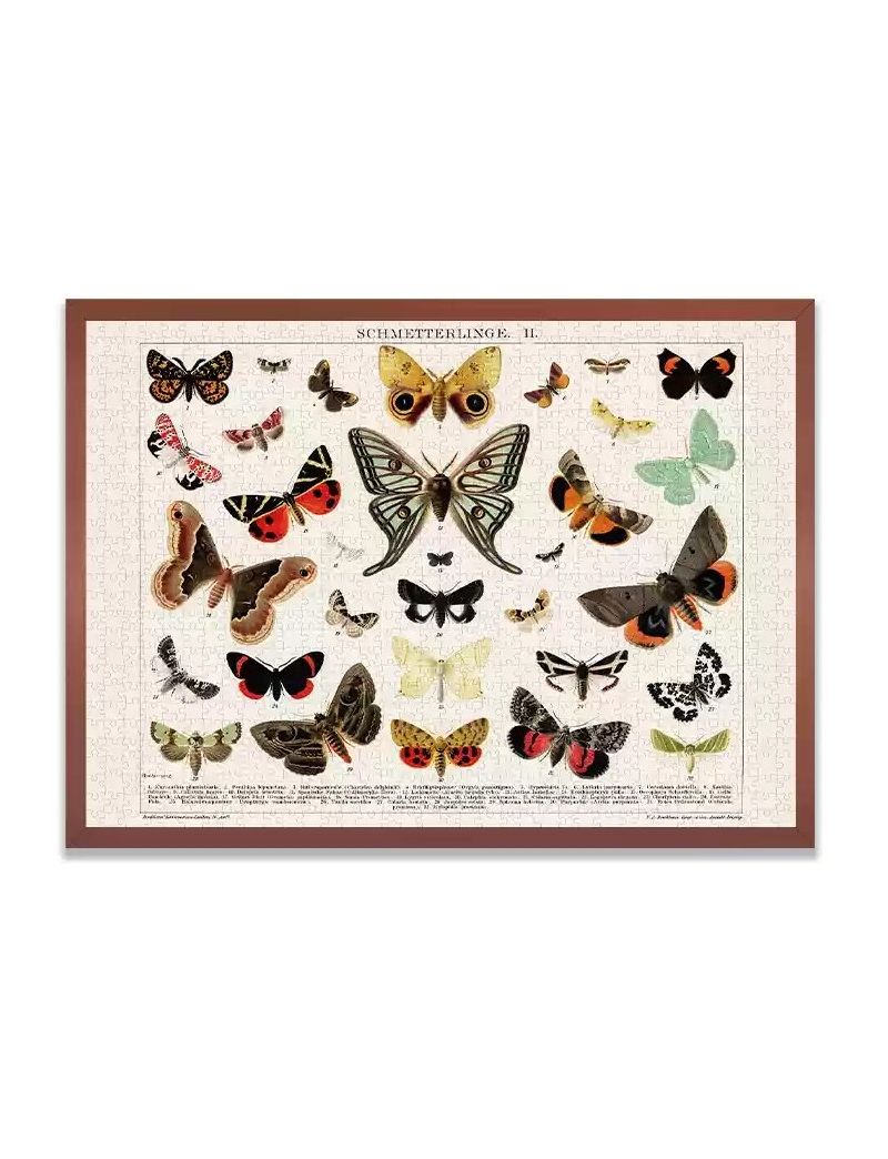 KIBIFUFU Schmetterlinge 1008pcs