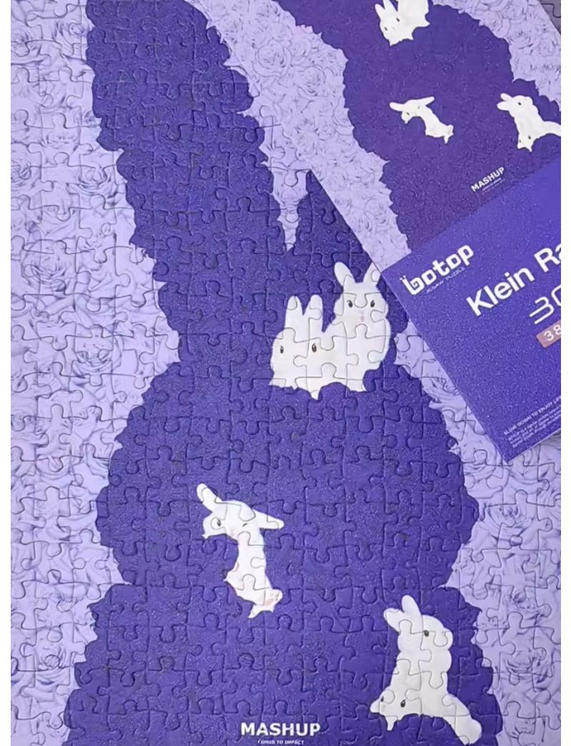 BOTOP Klein Rabbit 300pcs