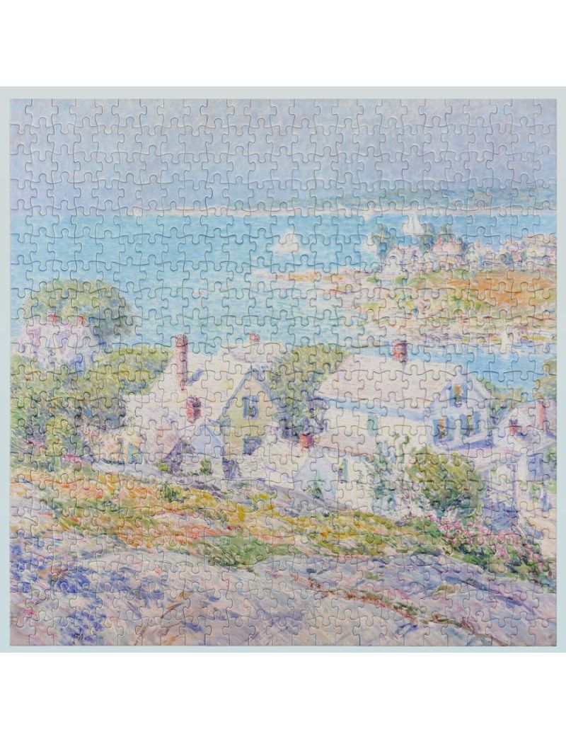 YouthWill New England Headlands 500pcs