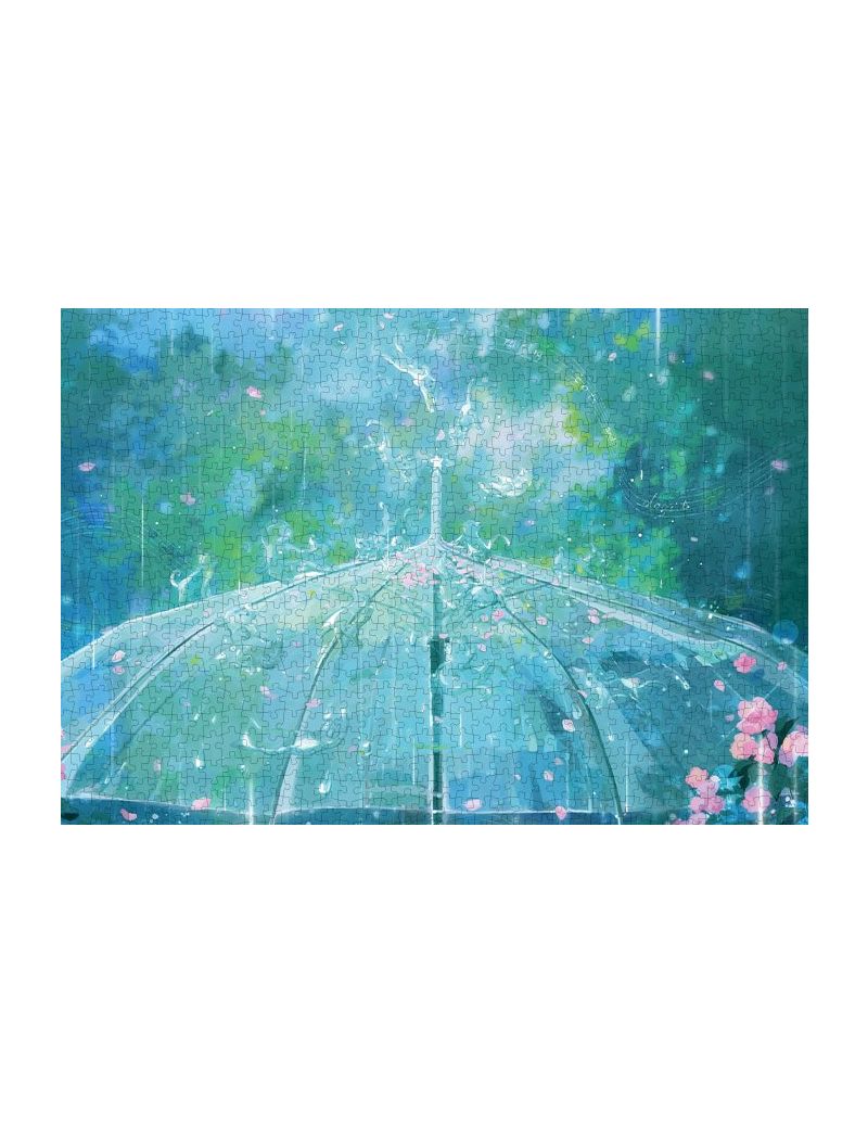 BOTOP FUSION Rain Cat 1000pcs