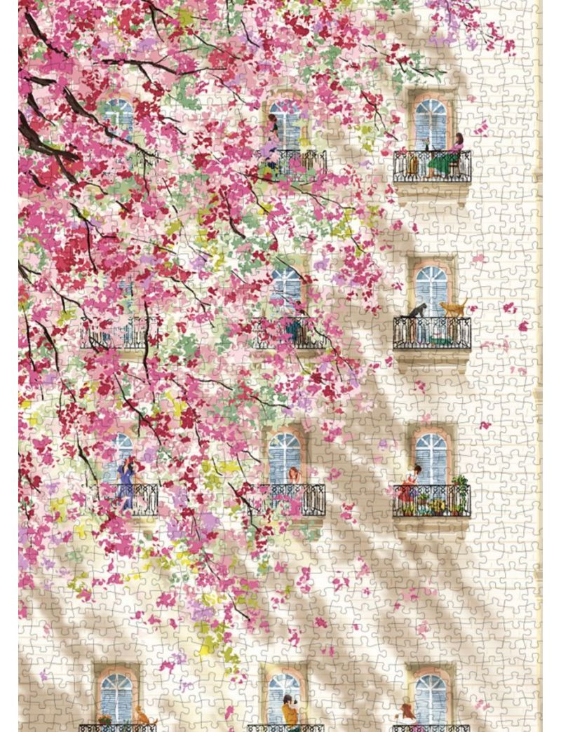 BOTOP FUSION Afternoon 1000pcs
