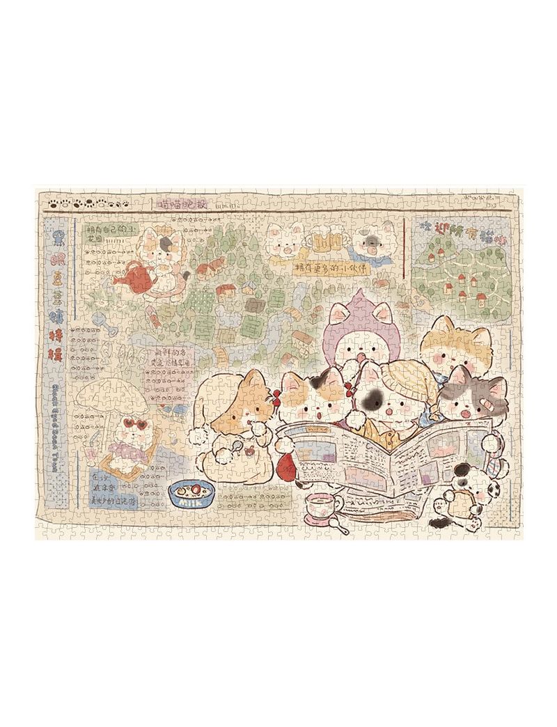 BOTOP FUSION Cat Newspaper 1000pcs