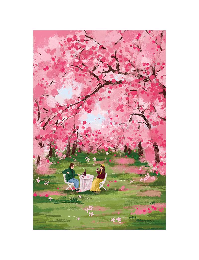 Momibook Under The Cherry Tree 1000pc