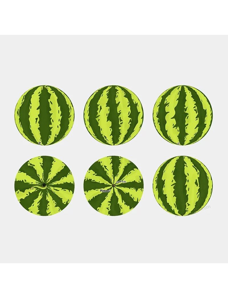PINTOO A3426 Watermelon 24p