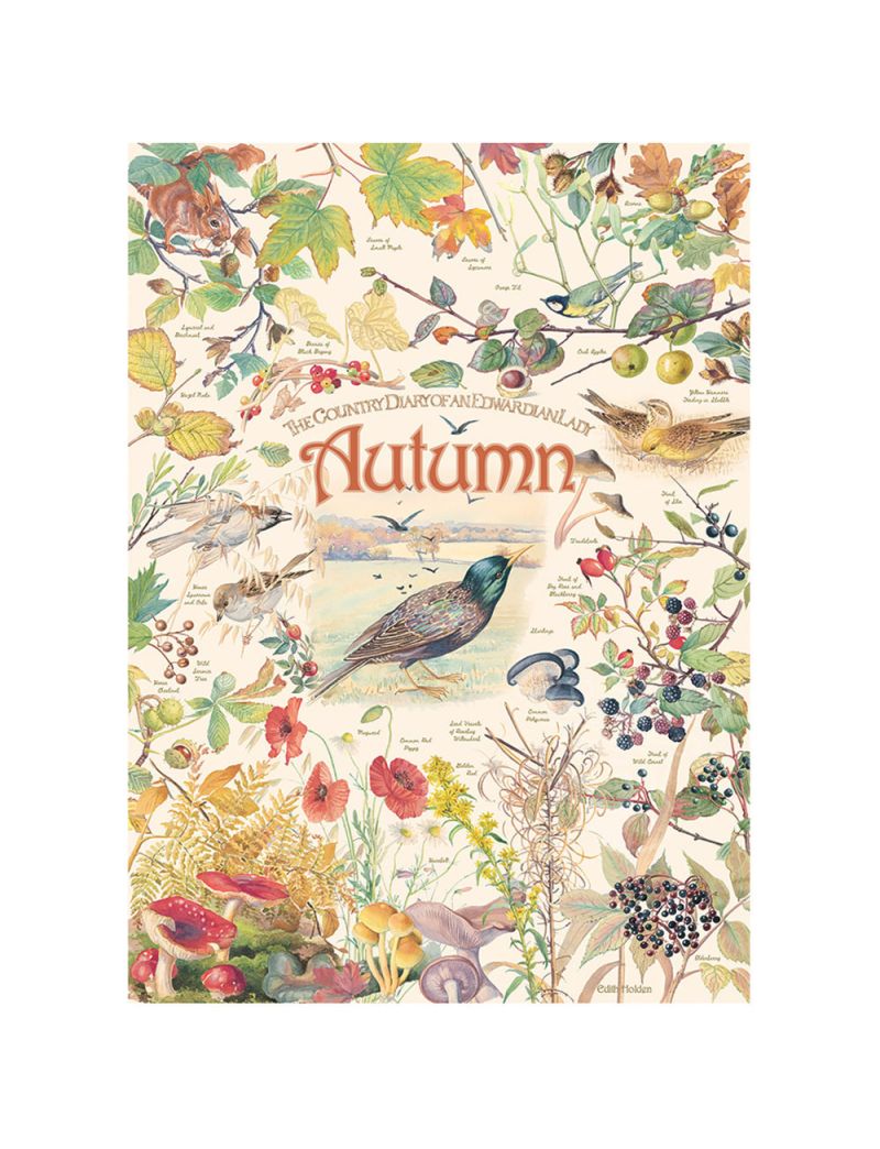 COBBLE HILL Autumn 1000 Piece Puzzle