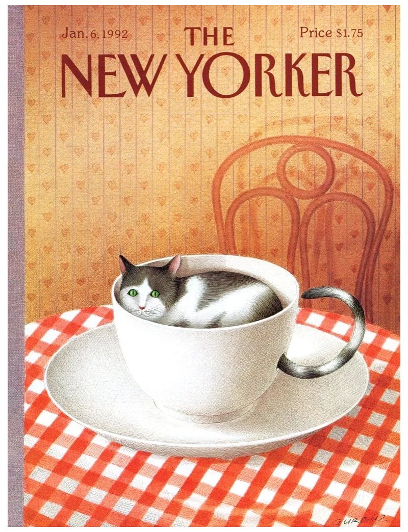 NEW YORKER CATTUCCINO 1000PC