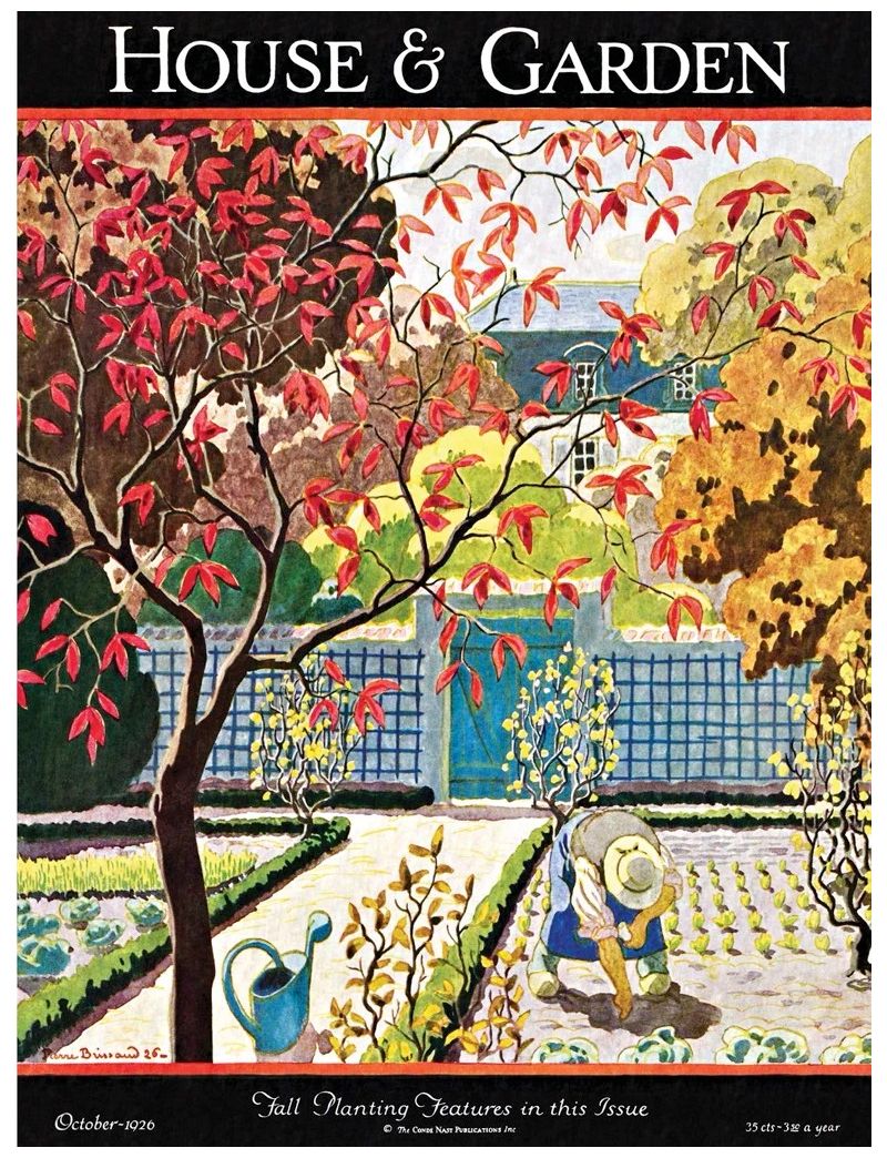 NEW YORKER FALL PLANTING 1000PC