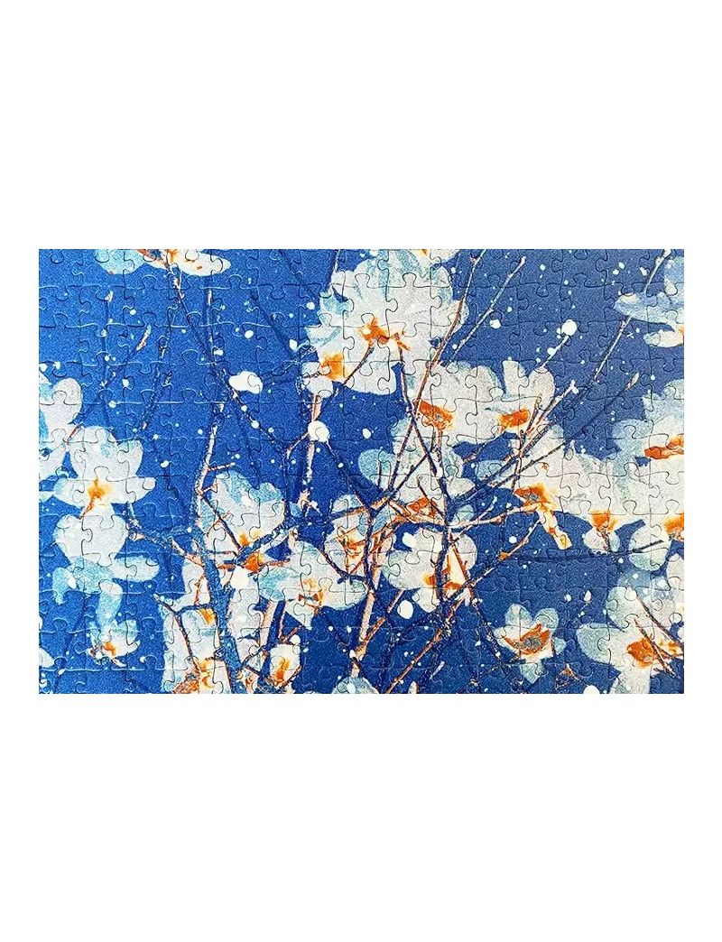 BOTOP FUSION Magnolia 500pcs