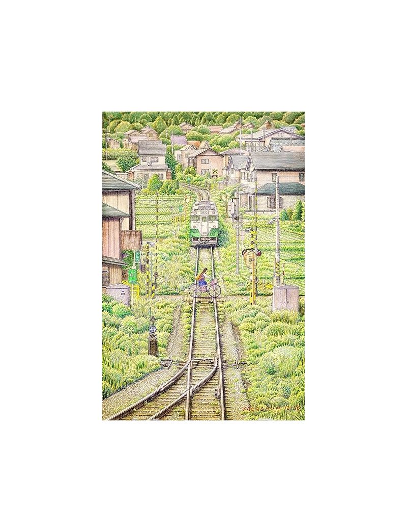 PINTOO H2342 Tadashi Matsumoto - Fading Shadow 600p