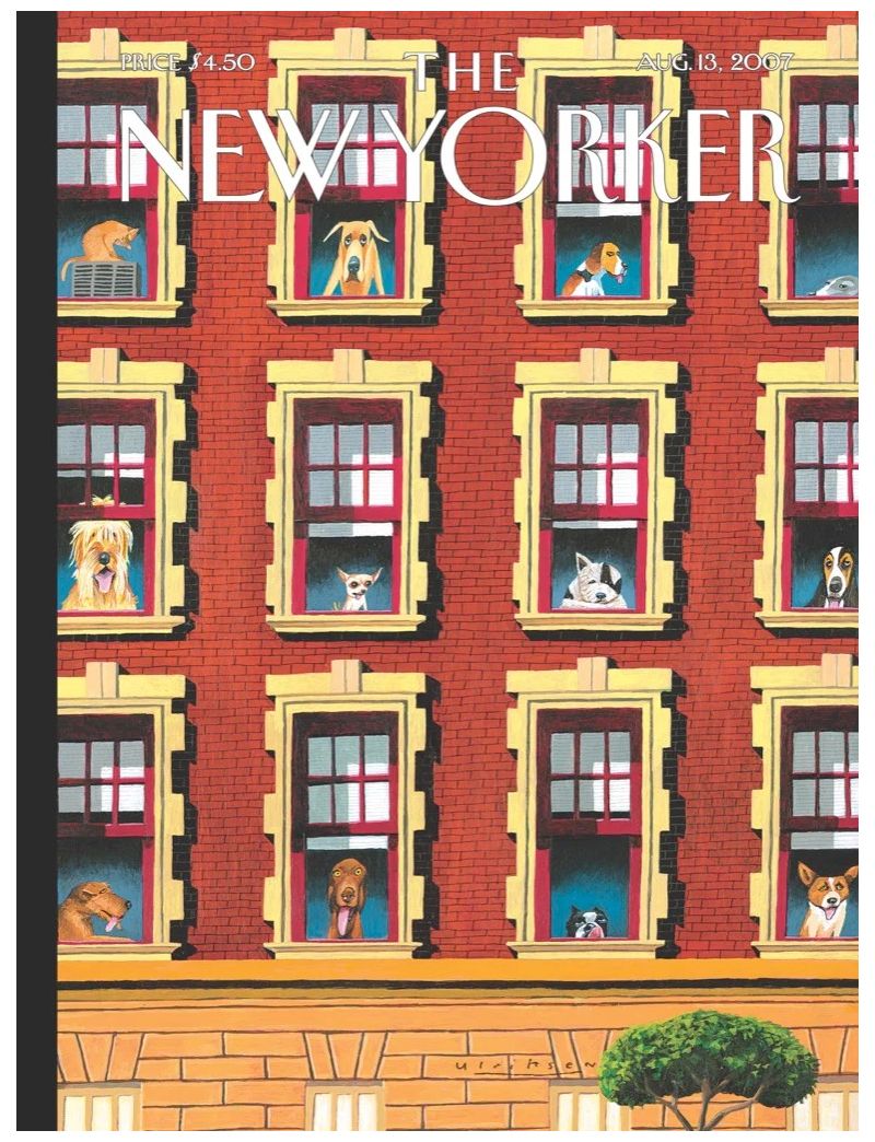 NEW YORKER HOT DOGS 1000 Pieces