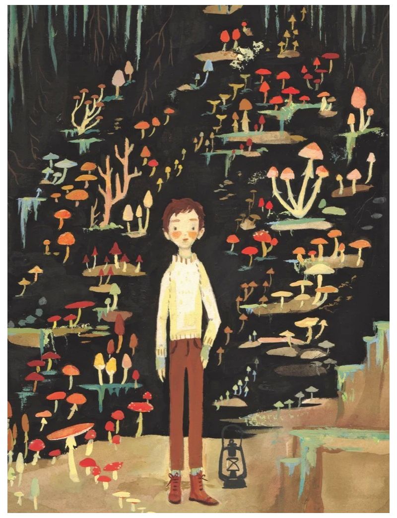 NEW YORKER MUSHROOM BOY 500PC