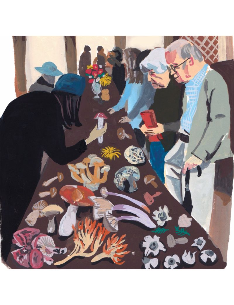 New Yorker Mushroom Festival 500PC