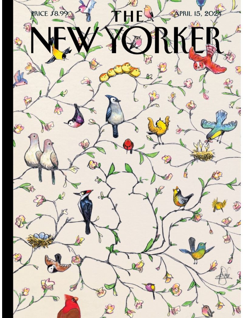 New Yorker Undercover 1000PC
