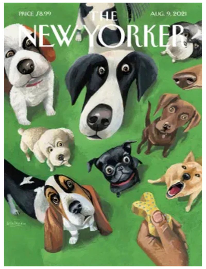 NEW YORKER SUMMER TREAT 500 Pieces