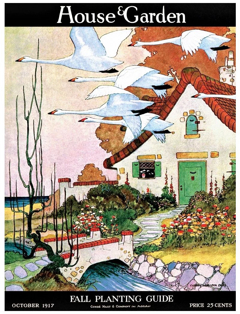 NEW YORKER SWAN COTTAGE 1000 Pieces