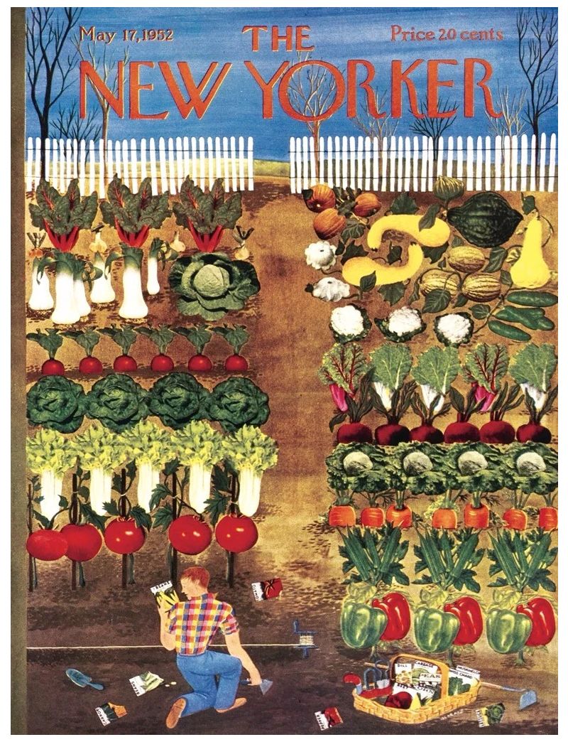 NEW YORKER Vegetable Garden 1000 Piece Jigsaw Puzzle