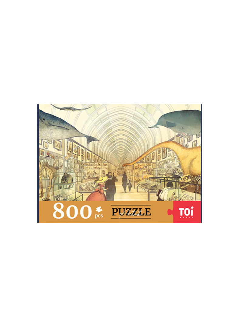 TOI museum 800PC