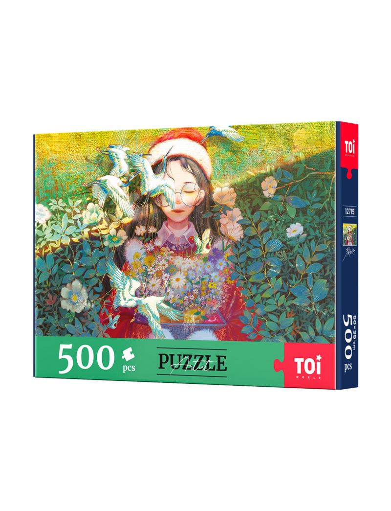 TOI Spring 500PC