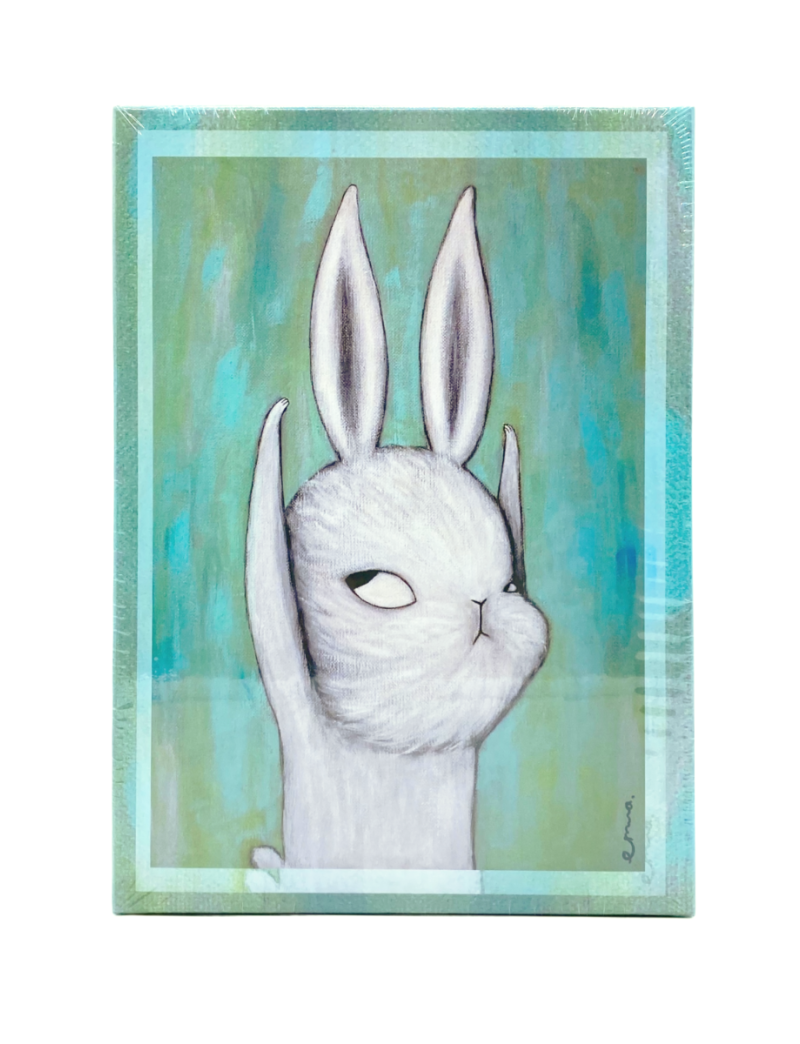 EMMAAPARTY AS LONG AS I GROW TALLER 520PC