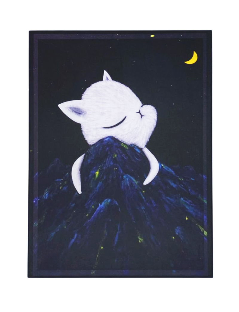 EMMAAPARTY NING JING ZHI YUAN 520PC