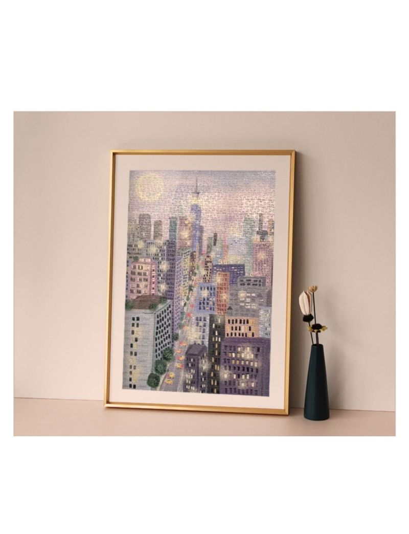 Toyfive Frame 20x27 inch【With White Mat】