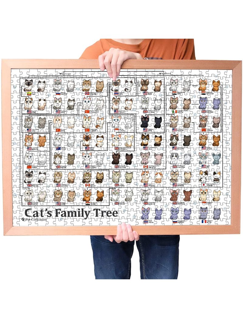 BOTOP Cat Family 1000pc