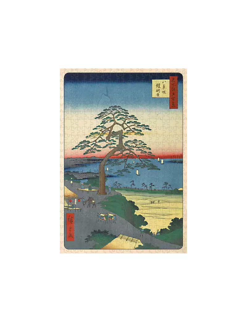 KIBIFUFU Pine 500pcs